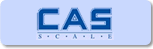 CAS Scales. Crane Scales.