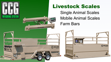 Livestock scales